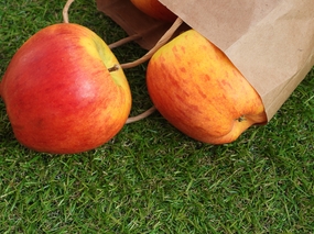 绿色草地新鲜红苹果摄影图片